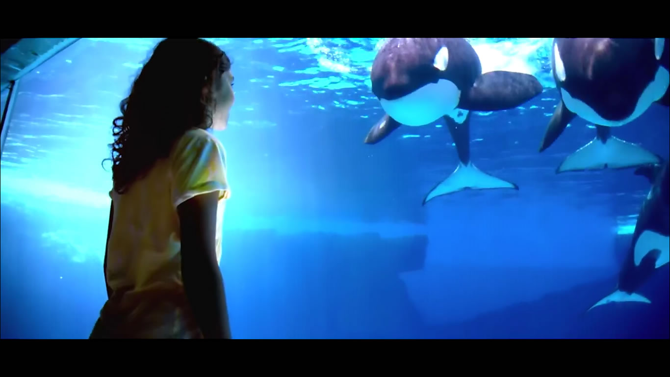 The New Future of SeaWorld - SeaWorld© - British English Pronunciation Test  467