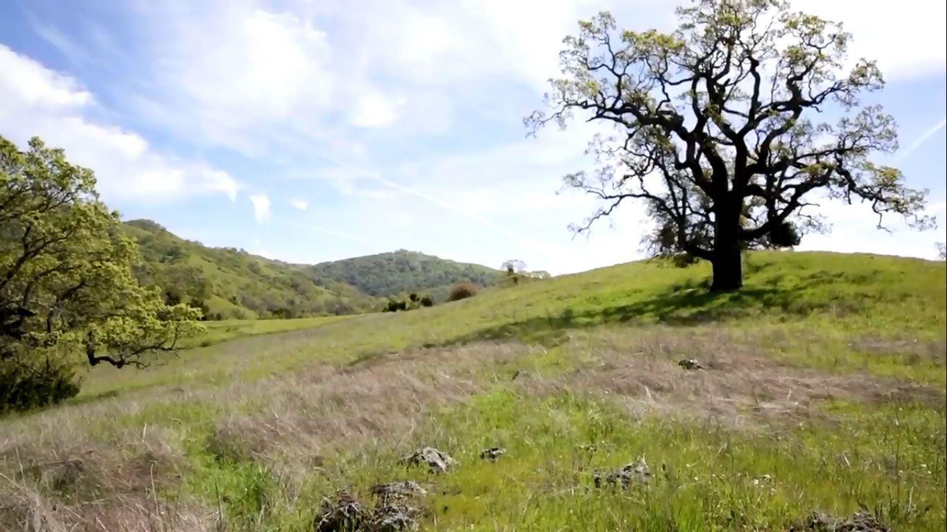 Advanced environmental sensor network at Berkeley's nature reserve - Listen and Write Test 326